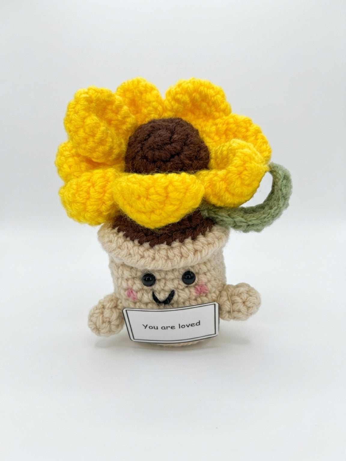 Handmade Crochet Emotional Support Flower Pot